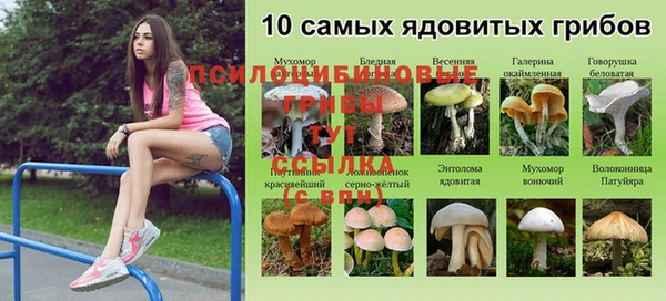 ALPHA PVP Михайловка