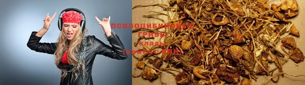 ALPHA PVP Михайловка