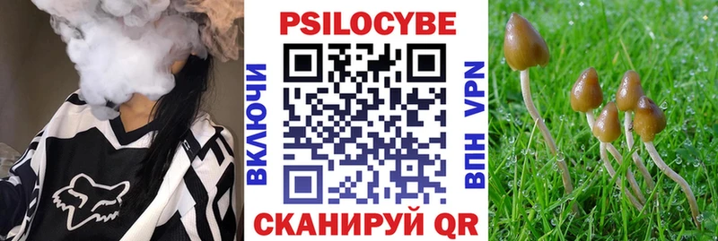 Псилоцибиновые грибы ЛСД  Купить  Шадринск 